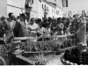 Galería - Maduressa
